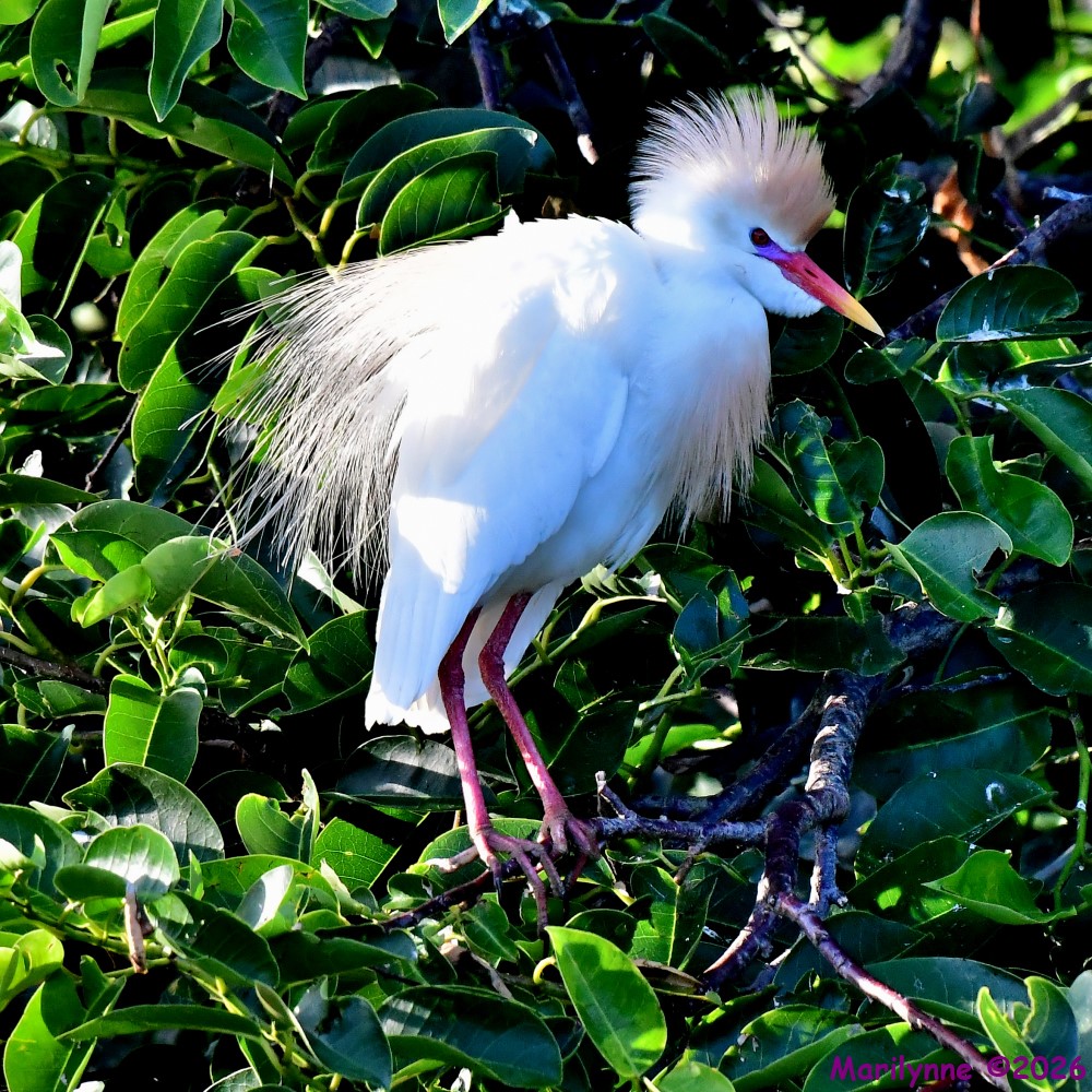 DSC_7301_001.JPG