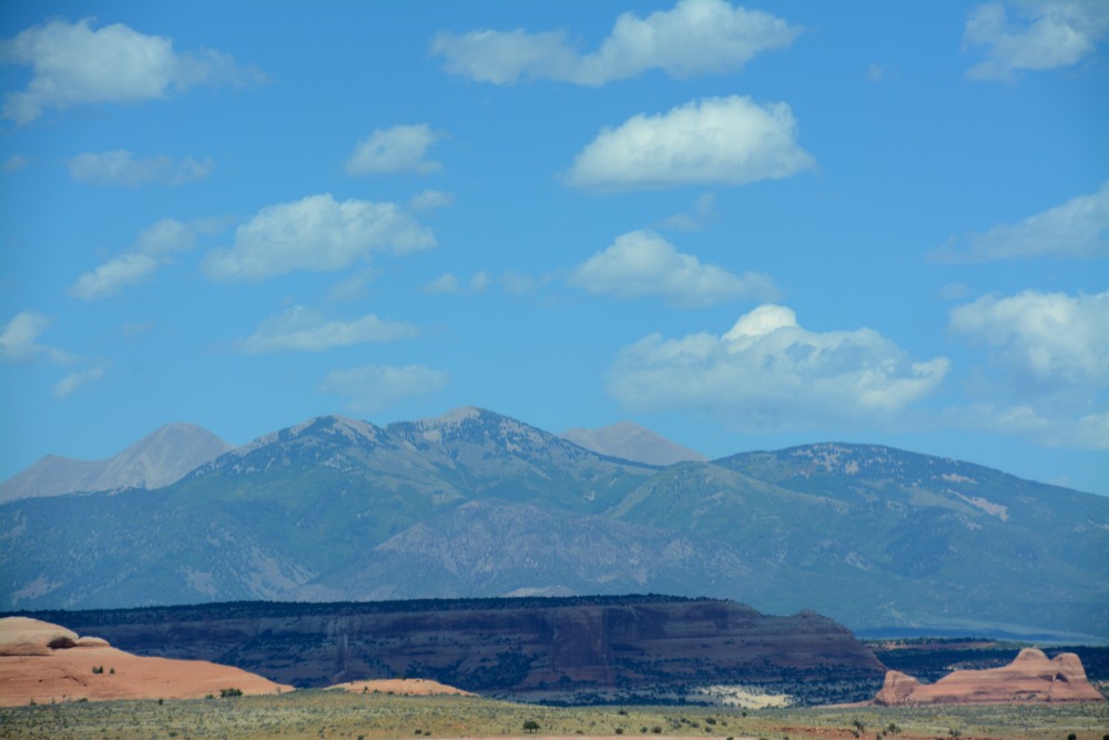 DSC_7303.JPG