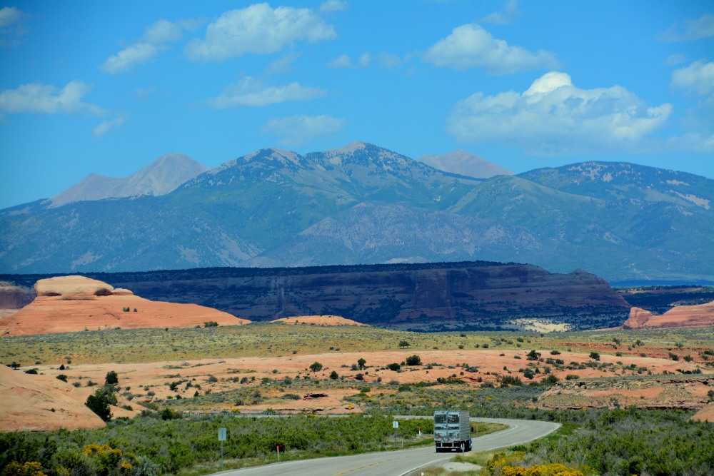 DSC_7305.JPG