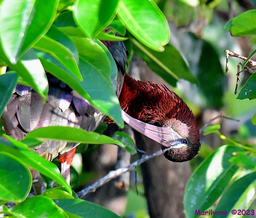 DSC_7307_001.JPG