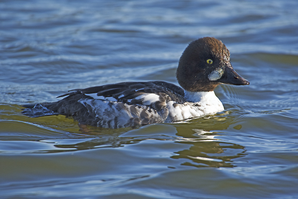 DSC_7311.jpg