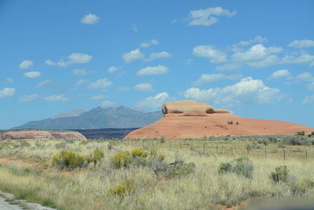 DSC_7315.JPG