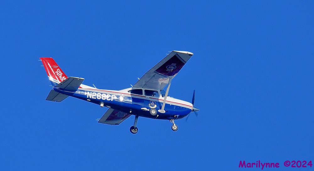 DSC_7316_001.JPG