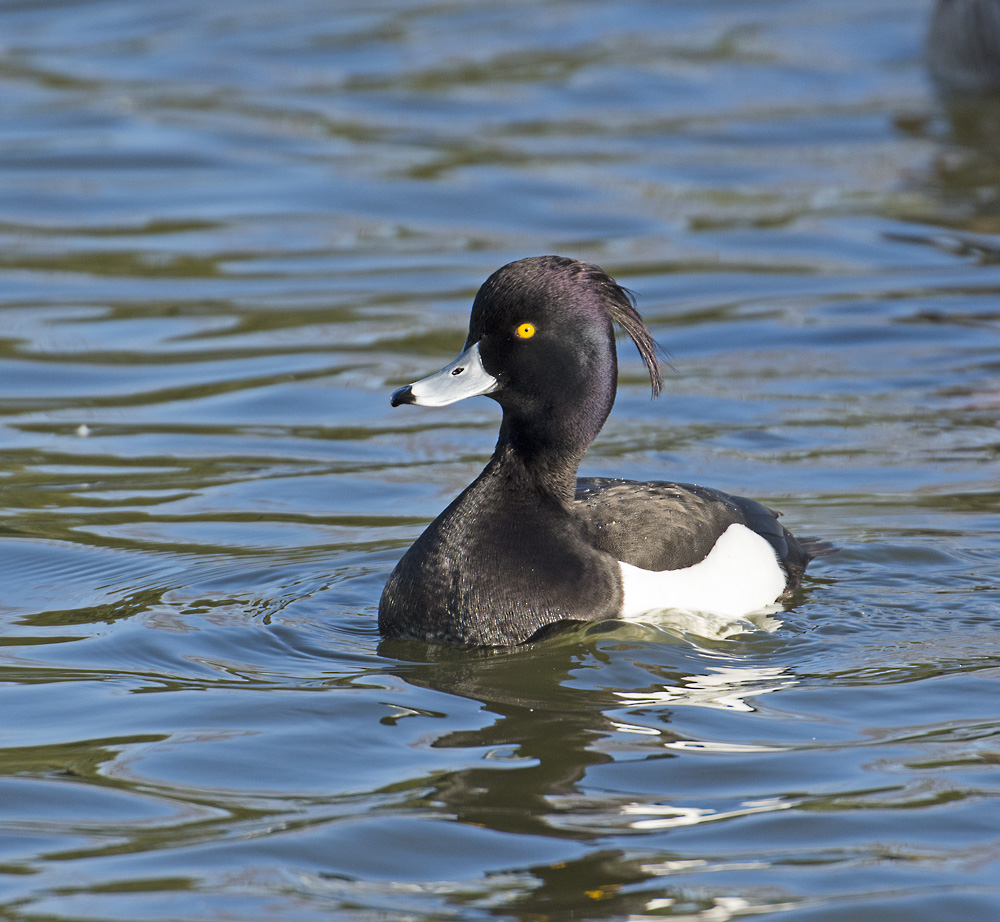 DSC_7317.jpg