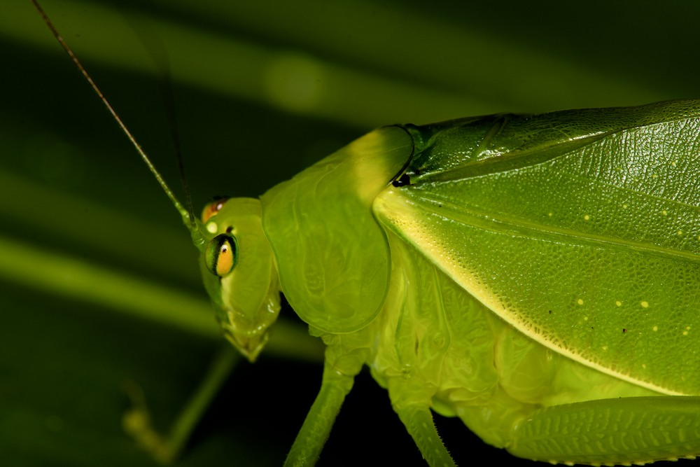 DSC_7322.jpg
