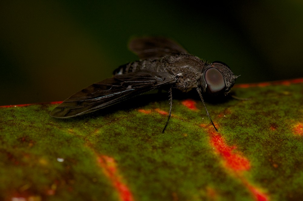 DSC_7323.jpg