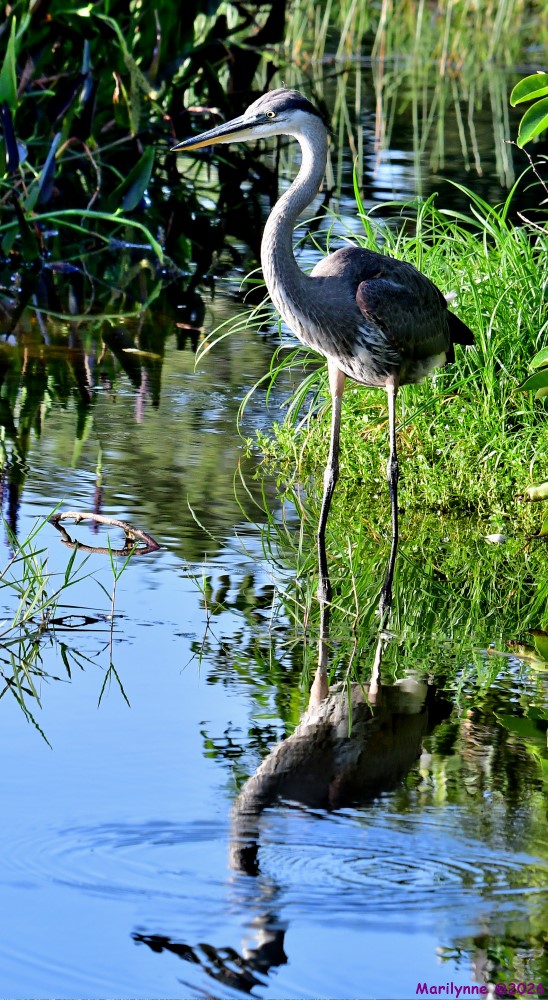 DSC_7324_001.JPG