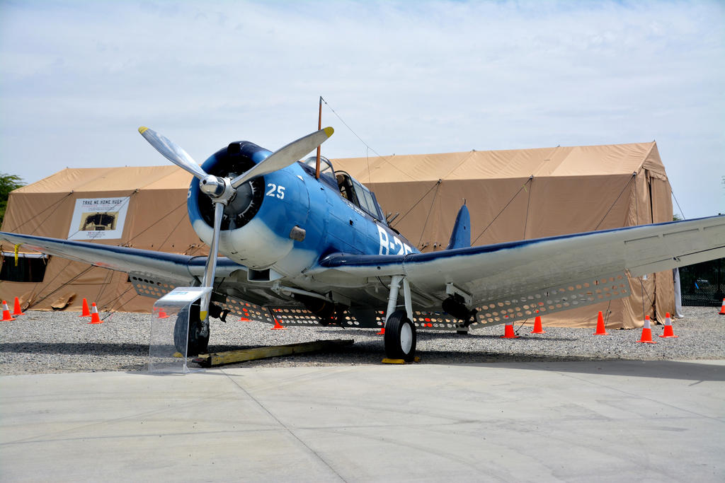 DSC_7325.jpg