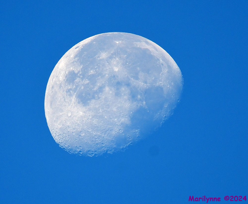 DSC_7326_001.JPG