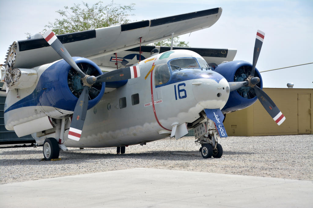 DSC_7327.jpg