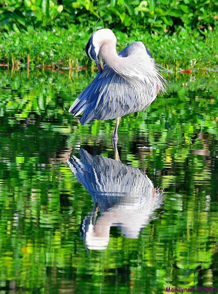 DSC_7327_001.JPG