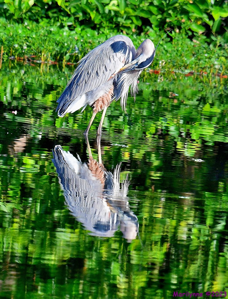 DSC_7329_001.JPG