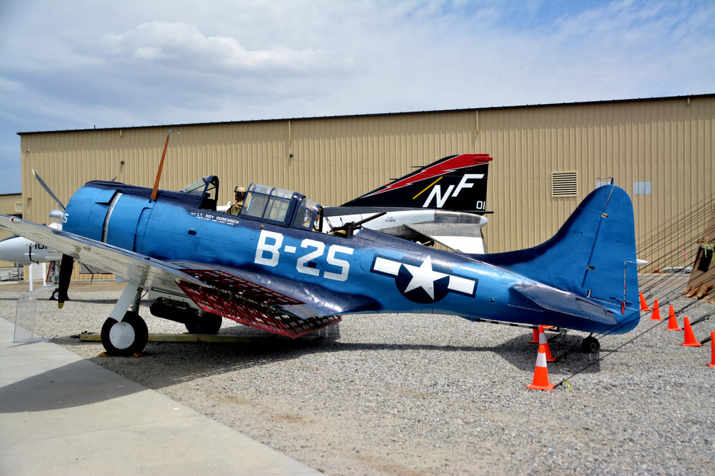 DSC_7330.jpg