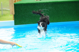 DSC_7331.JPG