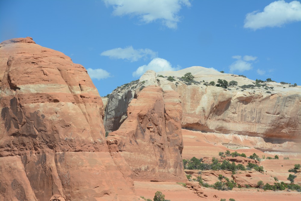DSC_7347.JPG