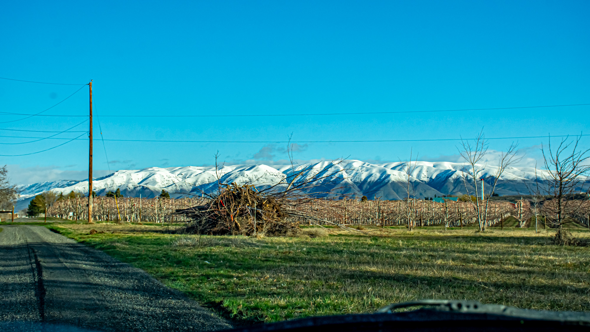 DSC_7348-HDR.jpg