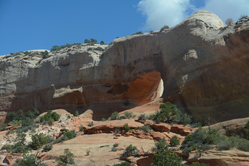 DSC_7350.JPG