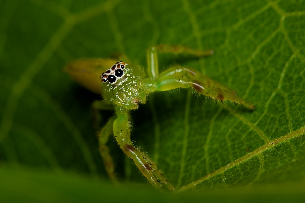 DSC_7353.jpg