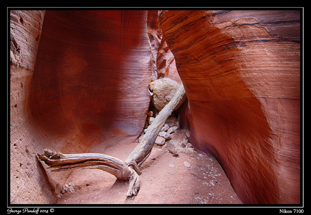 DSC_7355_HDR.jpg