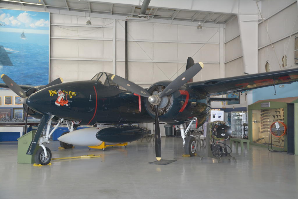 DSC_7361.jpg