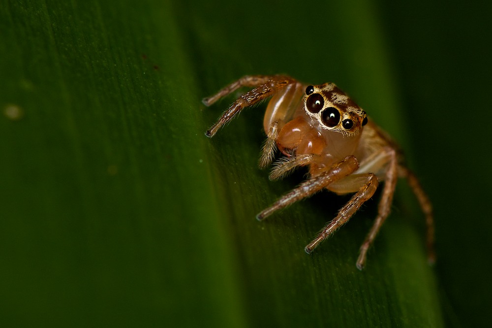DSC_7362.jpg