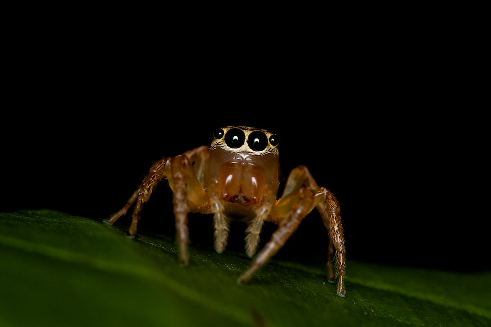 DSC_7363.jpg