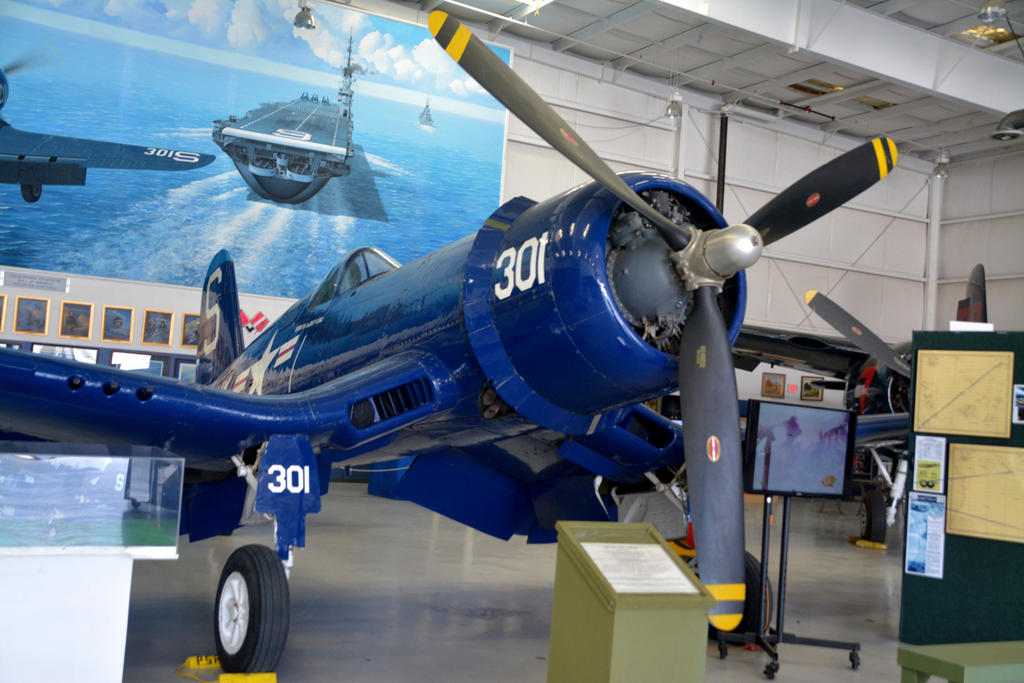 DSC_7367.jpg