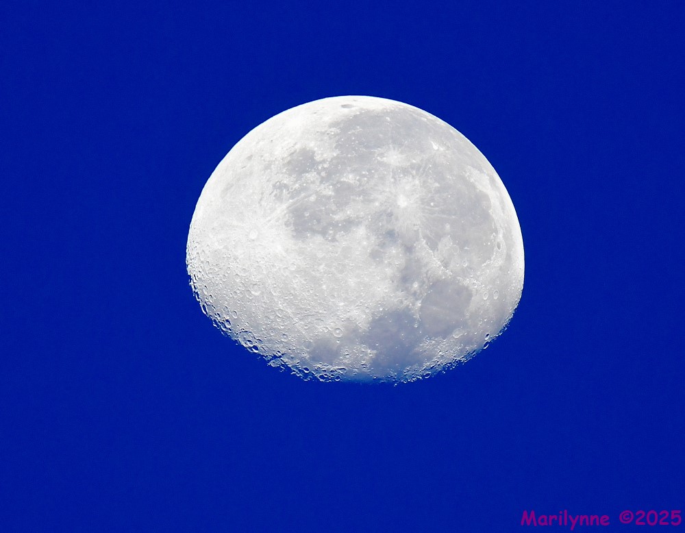 DSC_7380_001.JPG