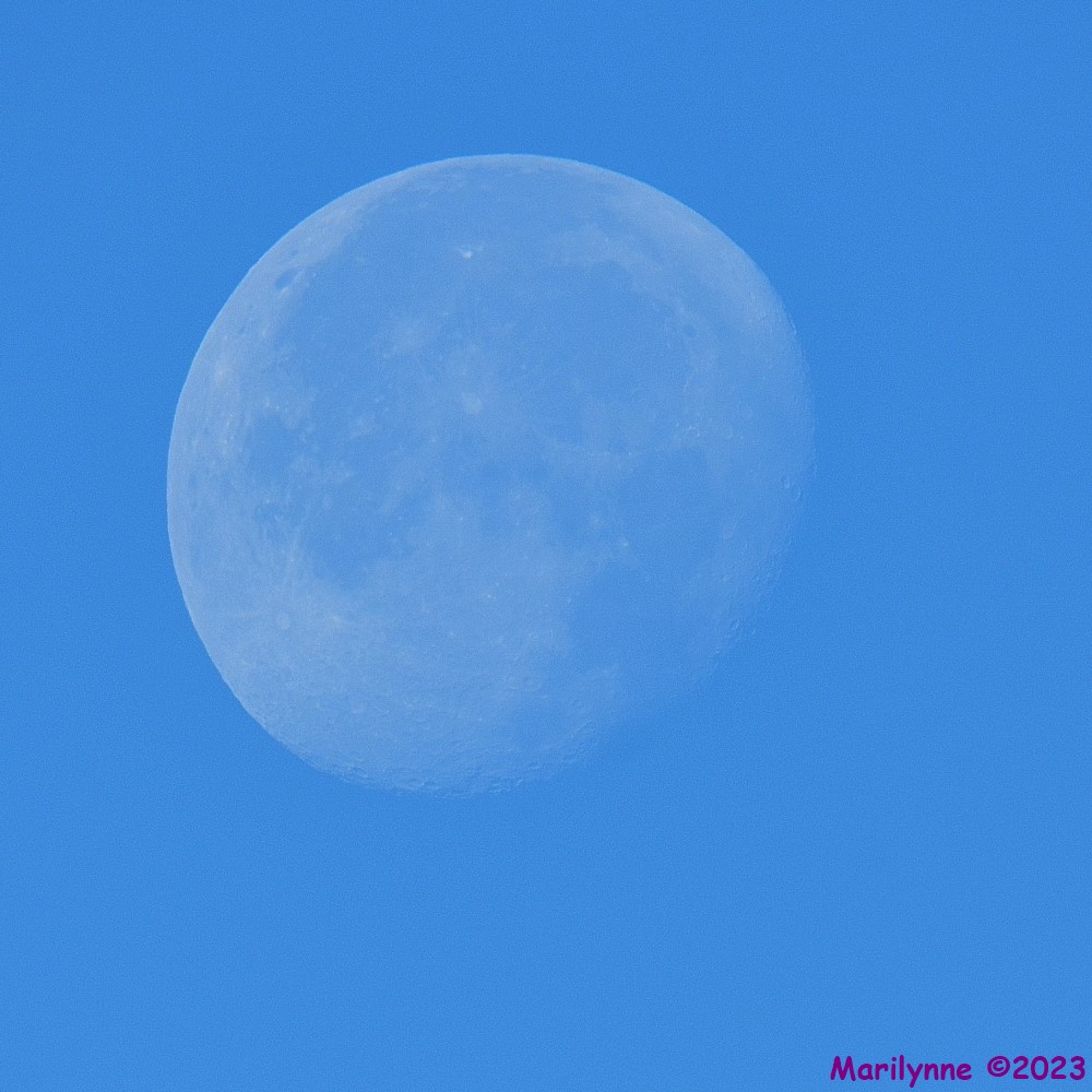 DSC_7382_001.JPG