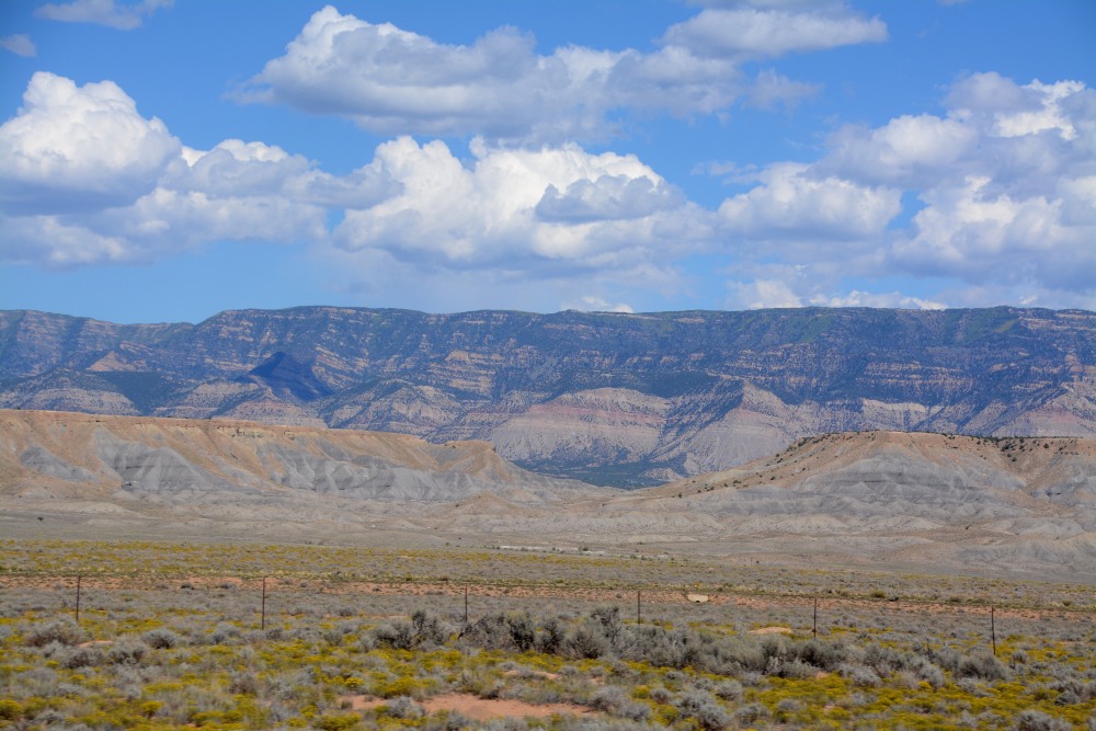 DSC_7408.JPG
