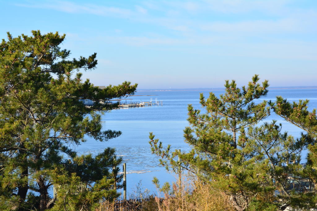 DSC_7411.jpg