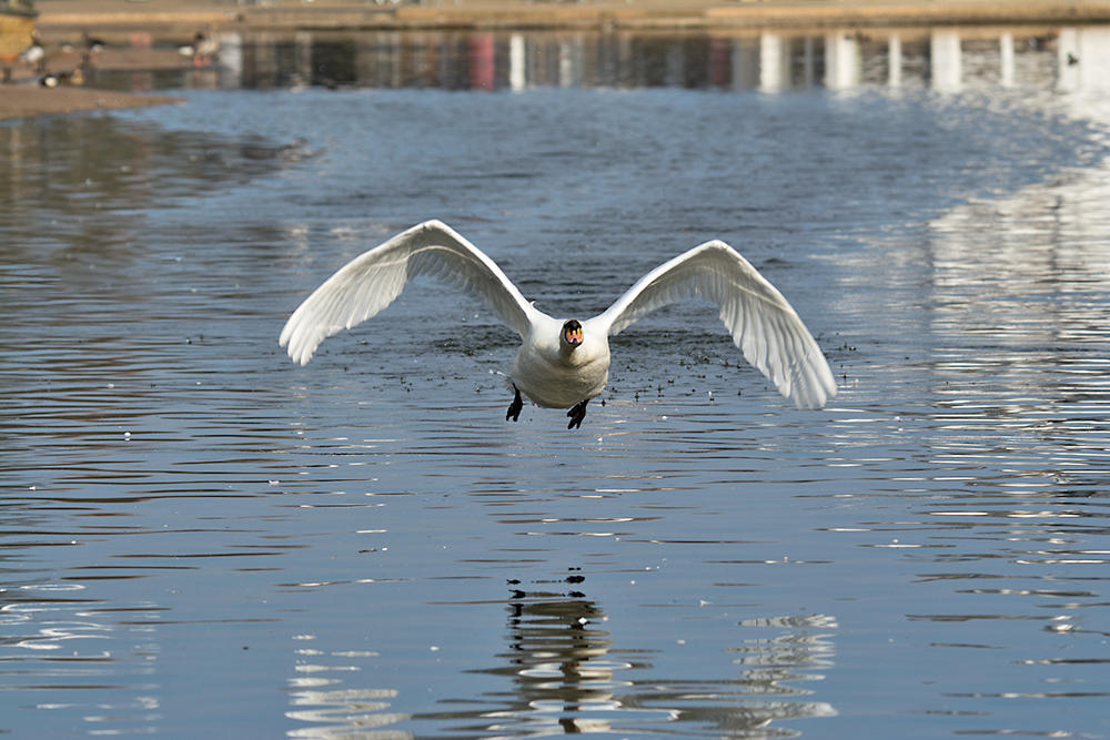 DSC_7426.jpg
