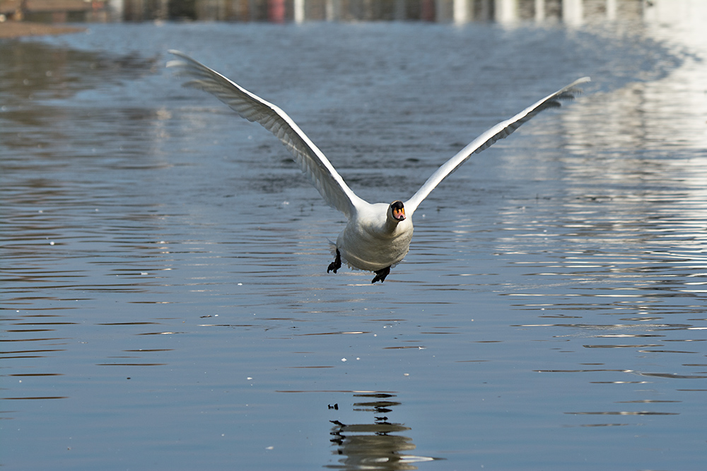DSC_7427.jpg