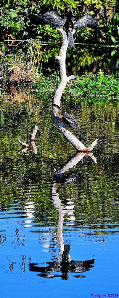 DSC_7428_001.JPG