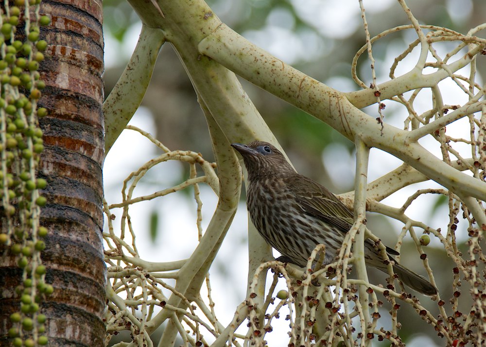 DSC_7435.jpg