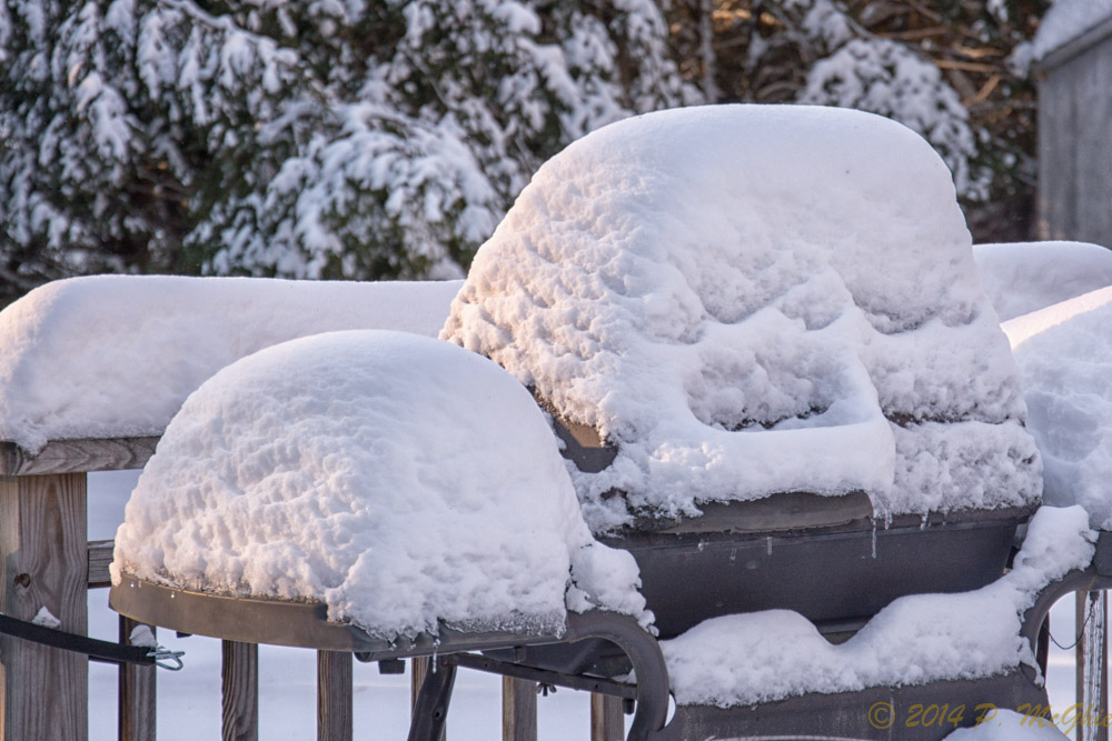 DSC_7438-Edit.jpg