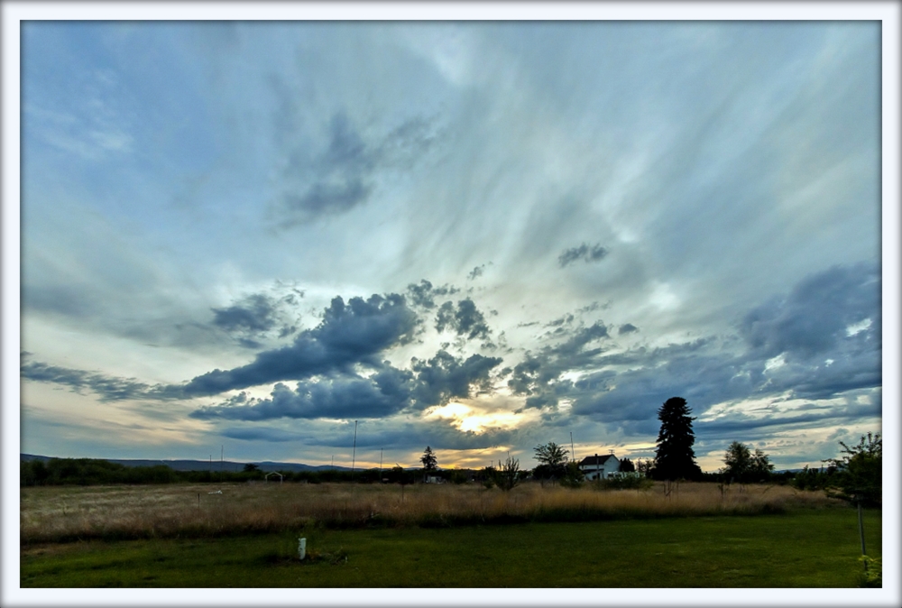 DSC_7439.jpg