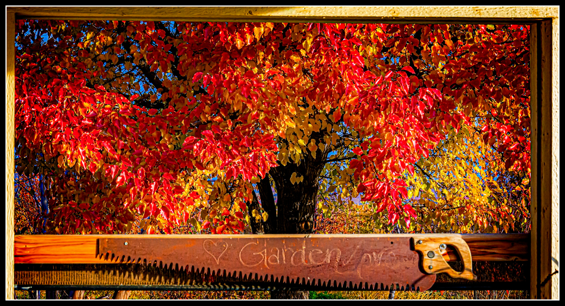 DSC_7445-Edit.jpg