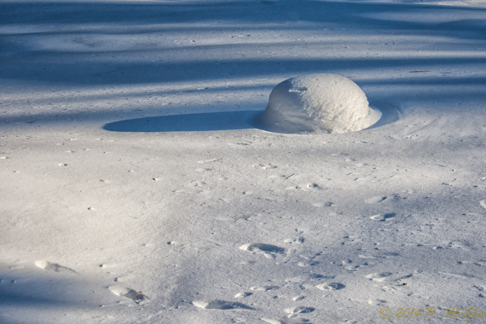 DSC_7450-Edit.jpg