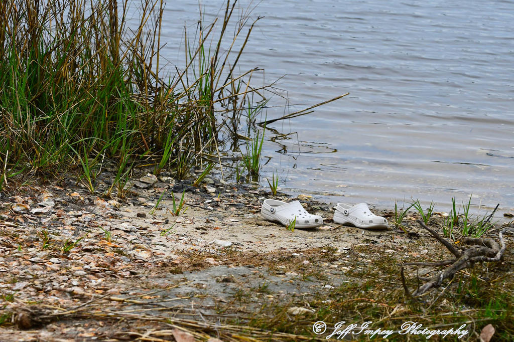 DSC_7459.jpg