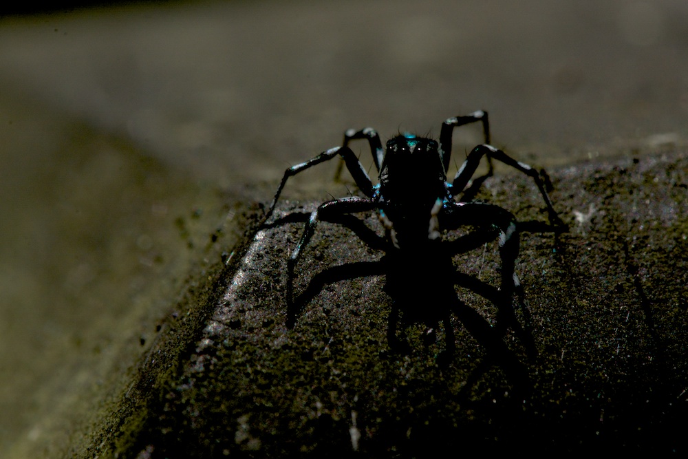 DSC_7475.jpg