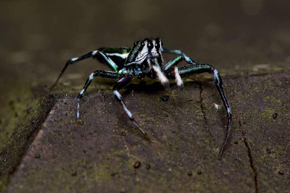 DSC_7476.jpg