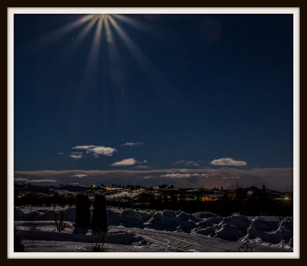 DSC_7486.jpg
