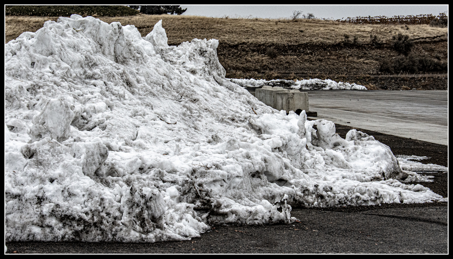 DSC_7487.jpg