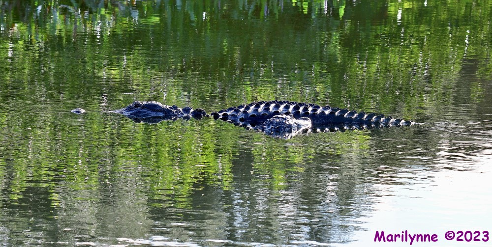 DSC_7490_stitch_001.JPG