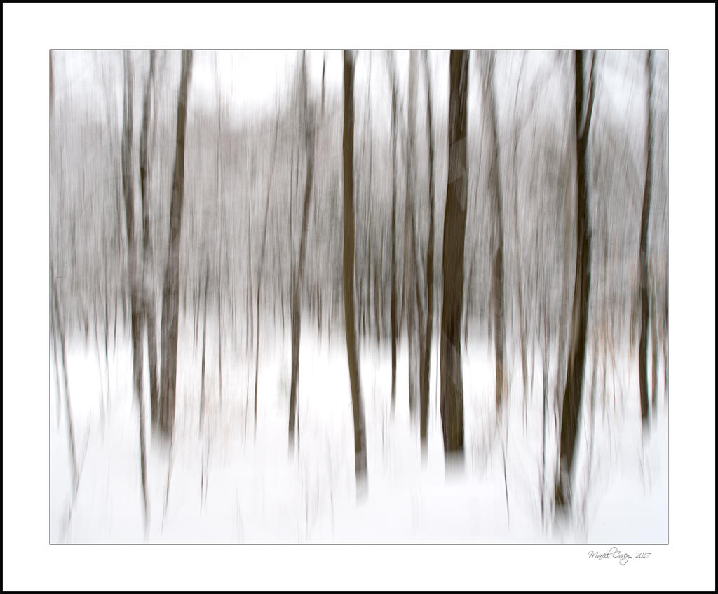 DSC_7496-Modifier.jpg