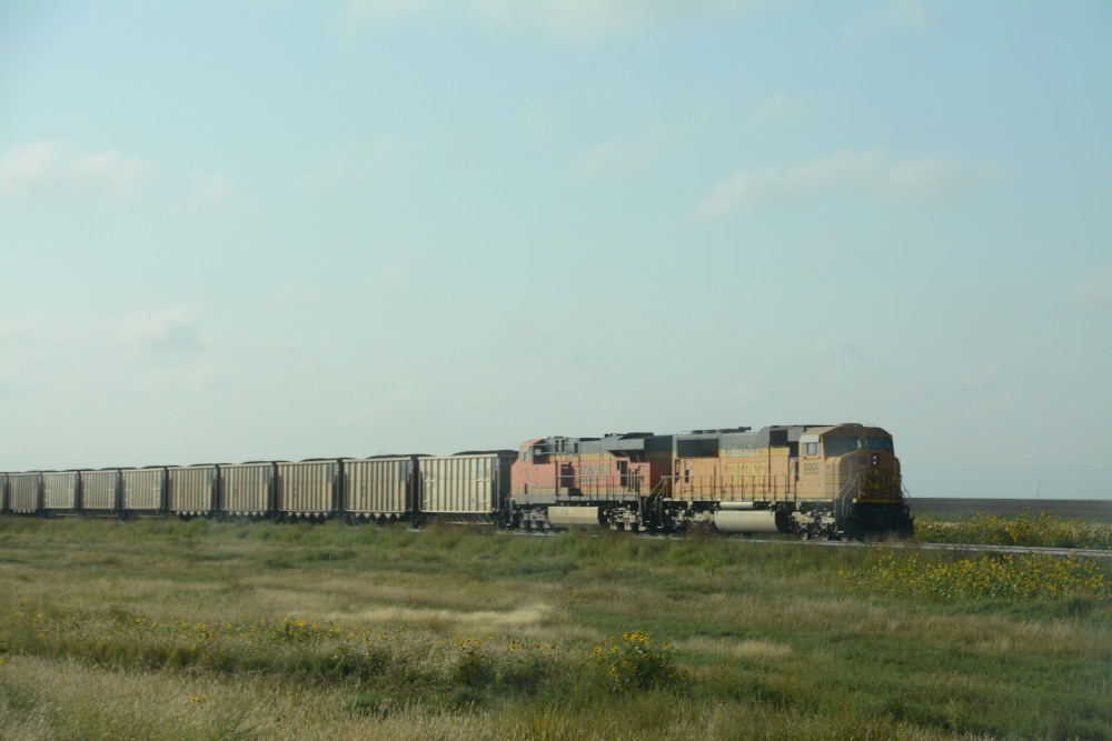 DSC_7500.JPG