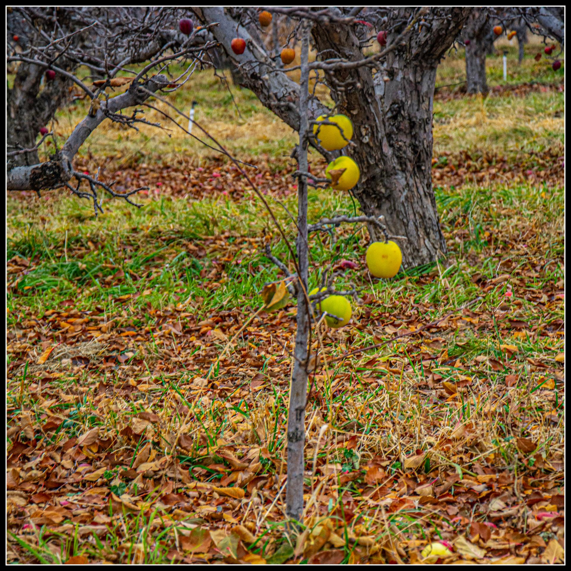 DSC_7502.jpg