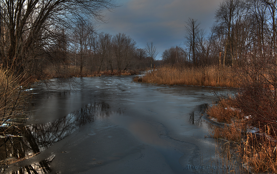 DSC_7504_5_6_tonemapped.jpg