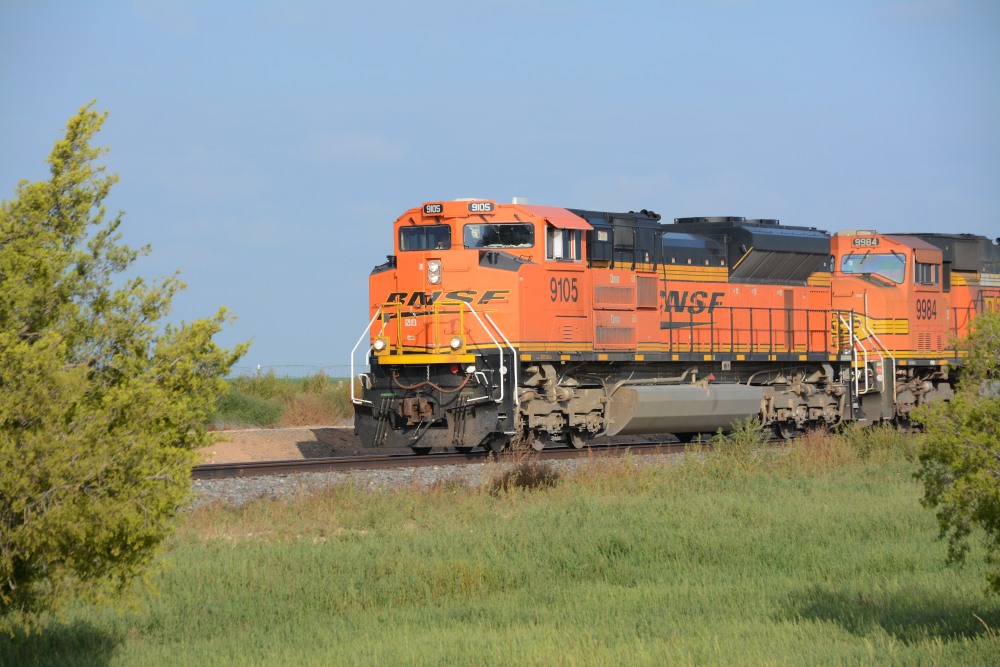 DSC_7514.JPG